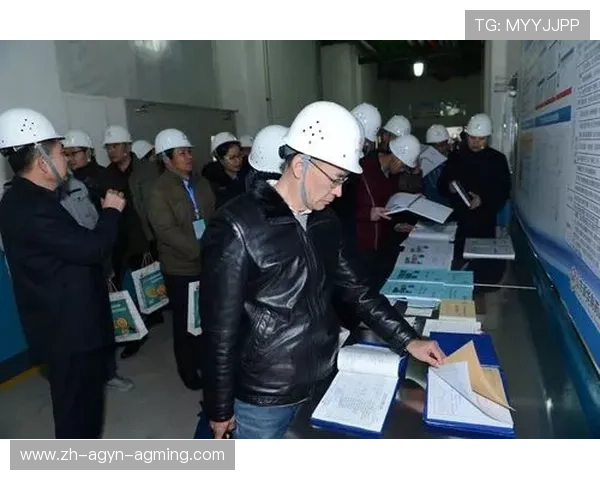 足球青训体系租借合作方案设计与风险管控